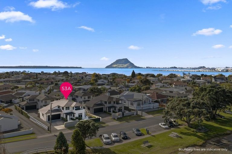 Photo of property in 53a Maxwells Road, Otumoetai, Tauranga, 3110