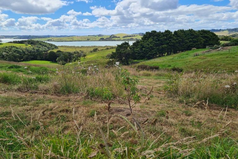 Photo of property in 304 Arapaoa Road, Tinopai, Matakohe, 0593