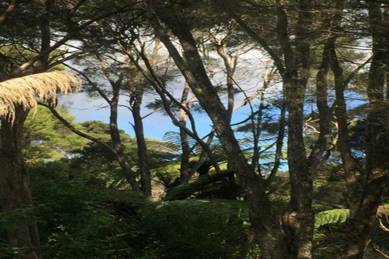 Photo of property in 7 Lori Lane, Coopers Beach, 0420