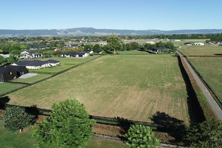 Photo of property in 36 Eldonwood Drive, Matamata, 3400