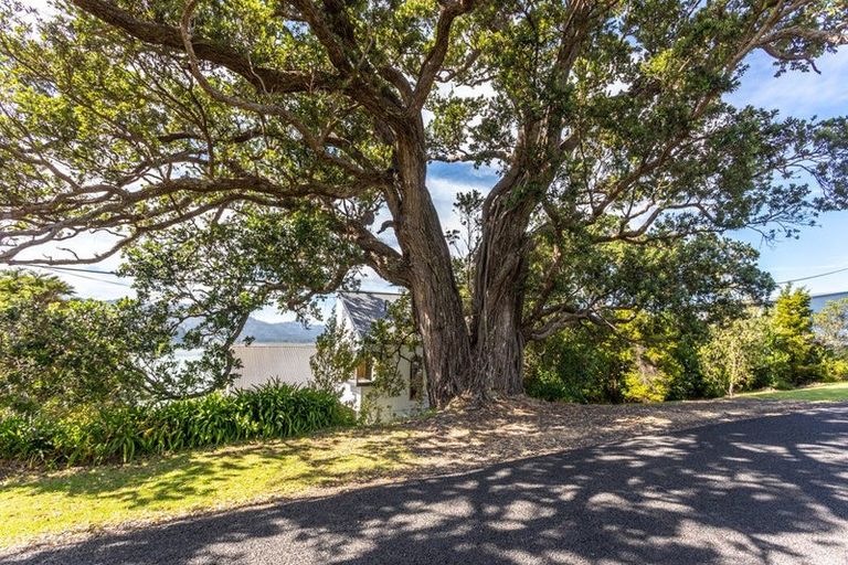 Photo of property in 1485 Wyuna Bay Road, Wyuna Bay, Coromandel, 3581