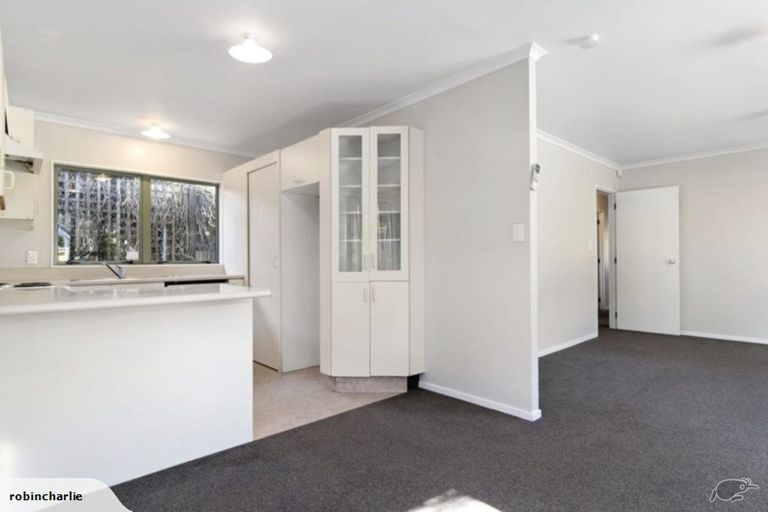 Photo of property in 1 Harrier Street, Parkvale, Tauranga, 3112