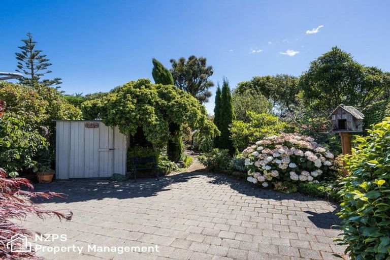 Photo of property in 65 Hunt Street, Andersons Bay, Dunedin, 9013