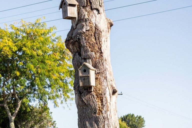 Photo of property in 88 Comries Road, Chartwell, Hamilton, 3210