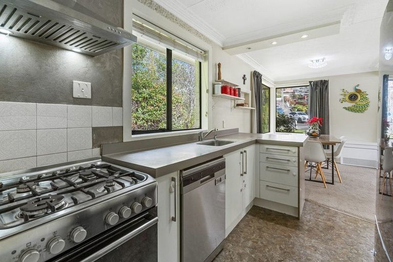 Photo of property in 17 Colquhoun Street, Glenross, Dunedin, 9011
