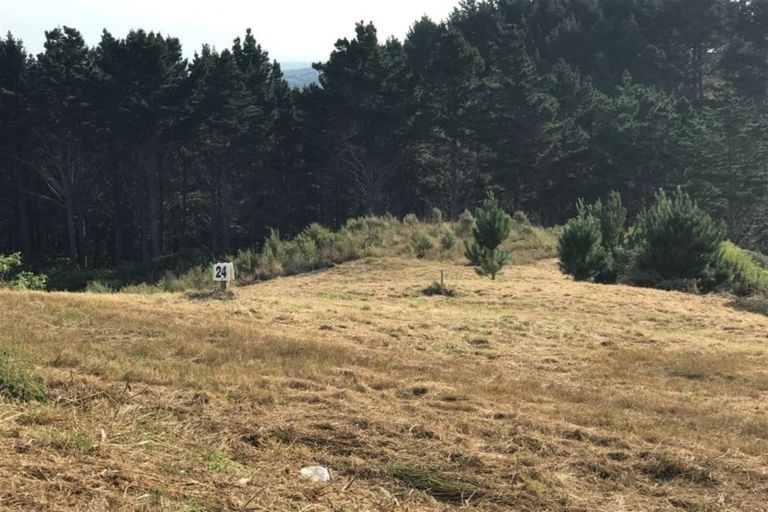 Photo of property in 167 Solway Road, Whitford, Manurewa, 2576