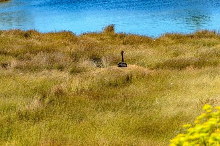 Photo of property in 2/18b Falcon Street, New Brighton, Christchurch, 8061