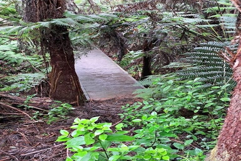 Photo of property in 30 Turvey Road, Mangonui, 0420