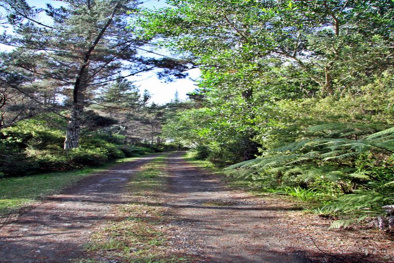 Photo of property in 34 Otaipango Road, Houhora, Kaitaia, 0484