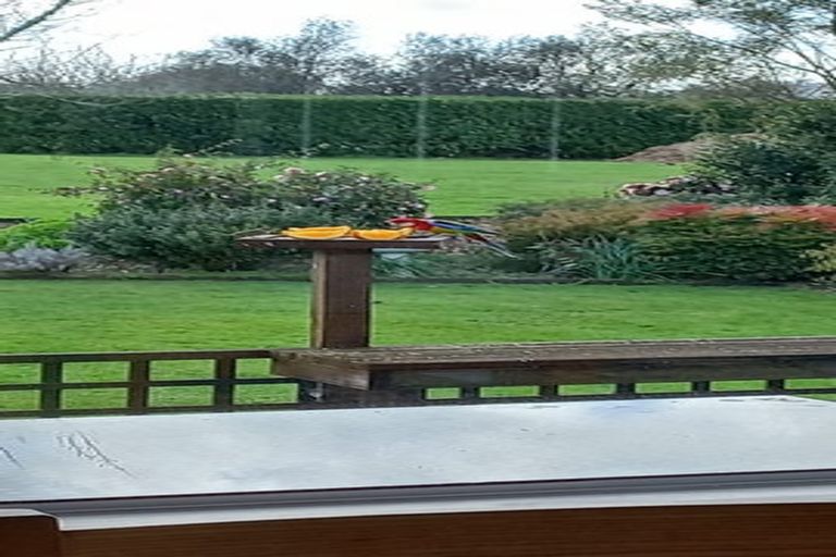 Photo of property in 4 Grenadier Lane, Waihi, 3610