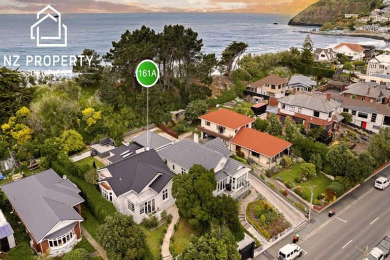 Photo of property in 161a Victoria Road, Saint Clair, Dunedin, 9012