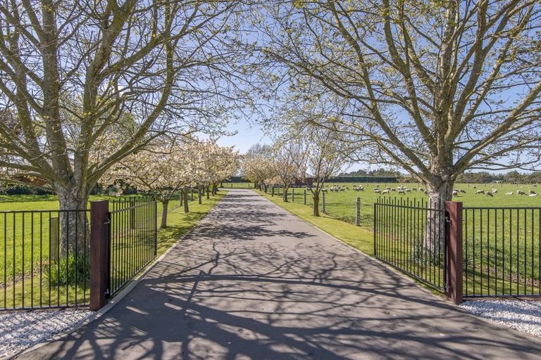 Photo of property in 75 Fords Road, Tinwald, Ashburton, 7773