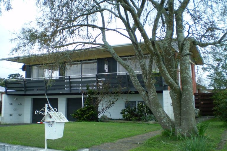 Photo of property in 133 Fitzroy Avenue, Fitzroy, Hamilton, 3206