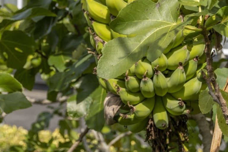 Photo of property in 12 First Avenue, Avenues, Whangarei, 0110