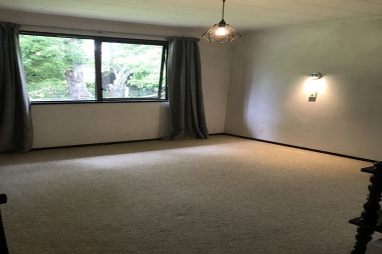 Photo of property in 14 Corwen Place, Mayfair, Hastings, 4122