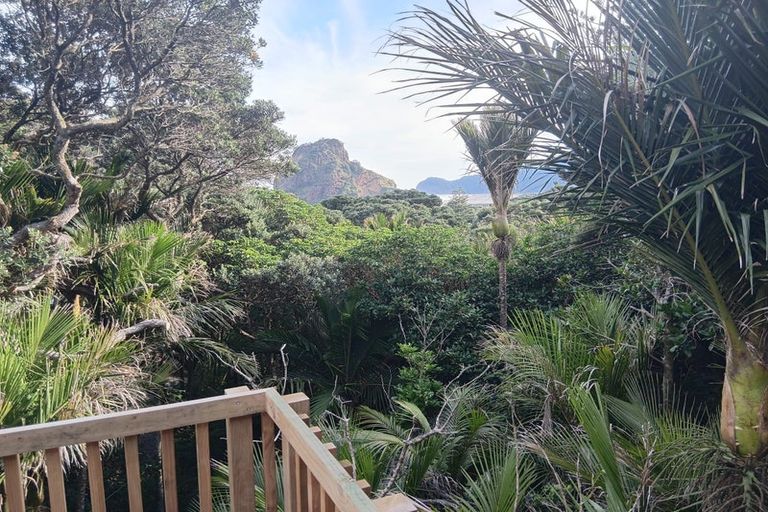 Photo of property in 6-8 Sylvan Glade, Piha, New Lynn, 0772