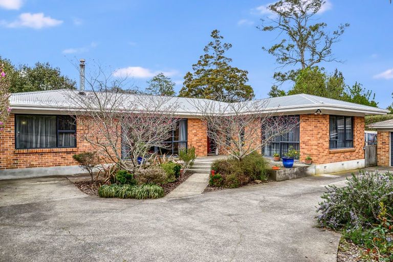 Photo of property in 646 Grey Street, Hamilton East, Hamilton, 3216