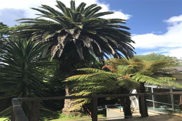 Photo of property in 51 Manson Street, Gate Pa, Tauranga, 3112