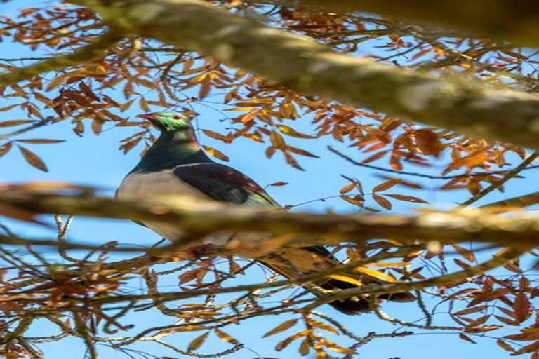 Photo of property in 757 Te Waerenga Road, Hamurana, Rotorua, 3096