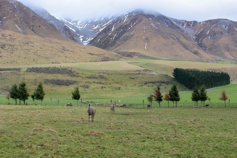 Photo of property in 607 Blackford Road, Mount Hutt, Rakaia, 7782
