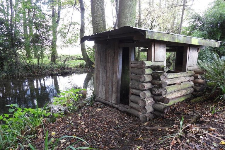 Photo of property in Ashfield, 410 Orari Station Road, Geraldine, 7992