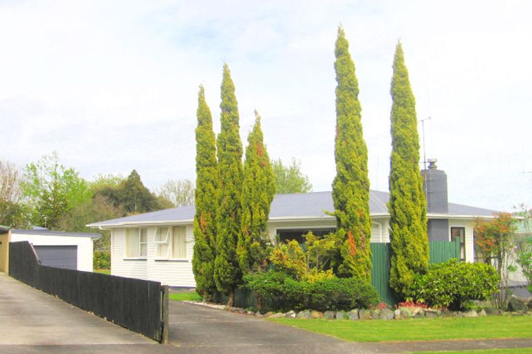 Photo of property in 49 Cobham Drive, Morrinsville, 3300