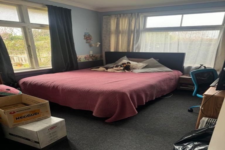 Photo of property in 47 Guy Avenue, Takaro, Palmerston North, 4410