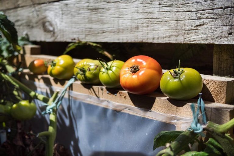 Photo of property in 153a High Street, Bulls, 4818