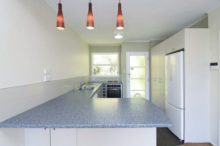 Photo of property in 1/22 Mccoll Street, Vogeltown, Wellington, 6021