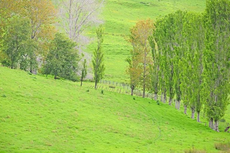 Photo of property in 1436 Oneriri Road, Kaiwaka, 0573