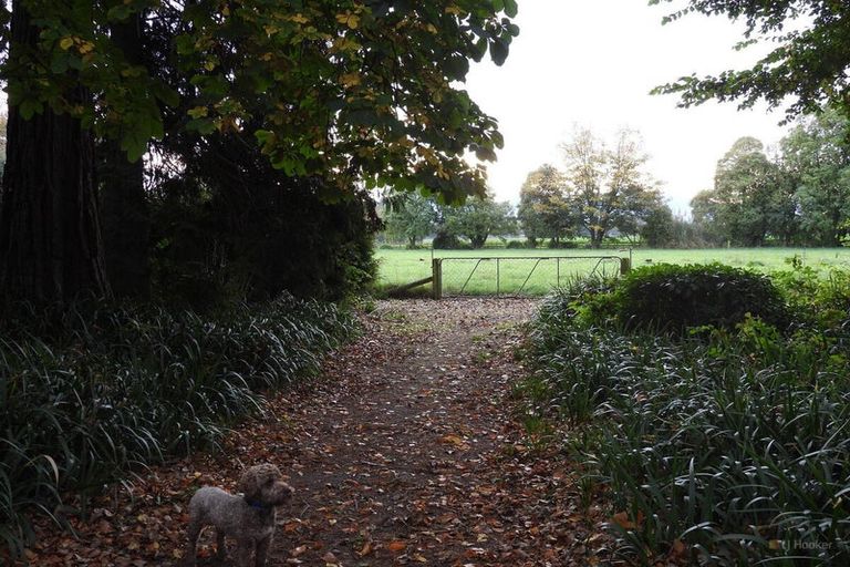 Photo of property in Ashfield, 410 Orari Station Road, Geraldine, 7992