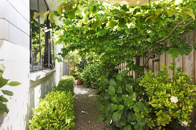 Photo of property in 50b Sixteenth Avenue, Tauranga South, Tauranga, 3112