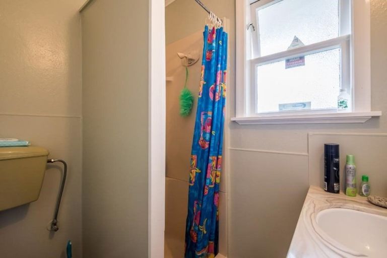 Photo of property in 25 Middlesex Street, Levin, 5510