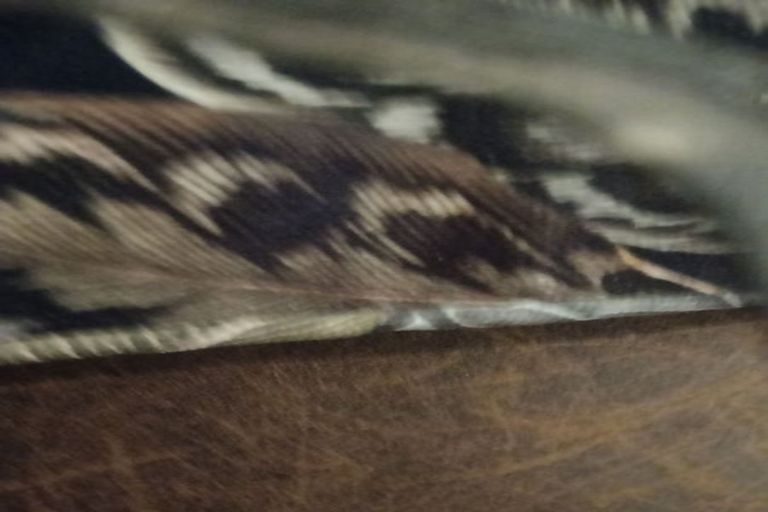 Photo of property in 120 Budge Street, Riversdale, Blenheim, 7201