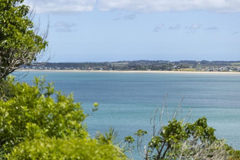 Photo of property in 51 Matariki Place, Karikari Peninsula, 0483