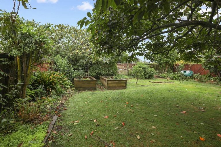 Photo of property in 205 Tony Avenue, Thames, 3500