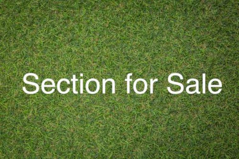 Photo of property in 42 Lisle Farm Drive, Pukekohe, 2120