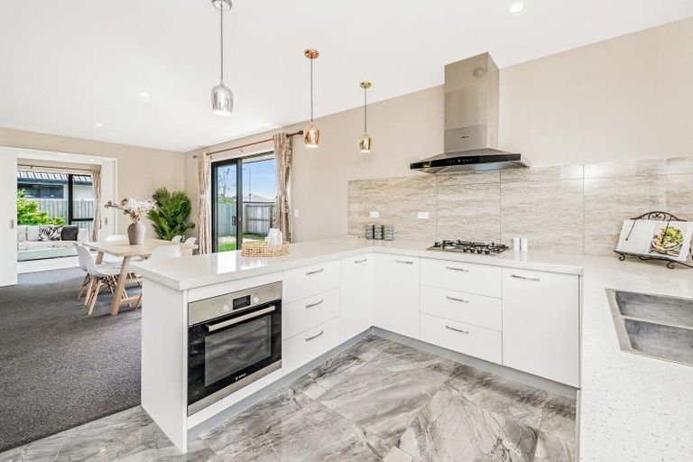 Photo of property in 17 Exeter Lane, Rolleston, 7614