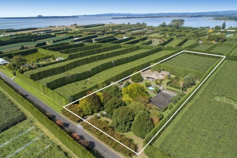 Photo of property in 76 Pukakura Road, Katikati, 3178