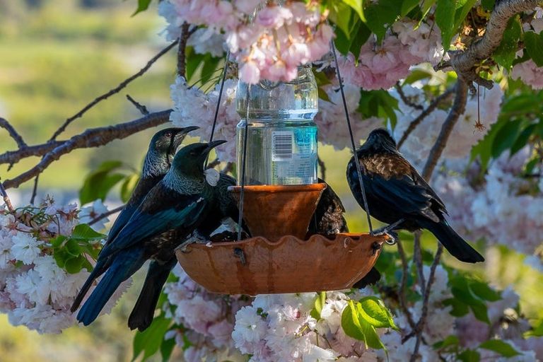 Photo of property in 82 Brooks View Heights, Tasman, Upper Moutere, 7173