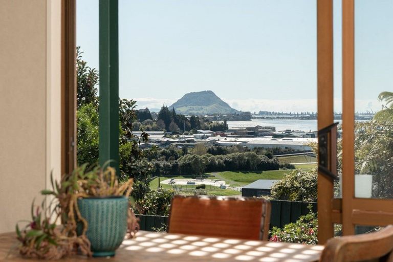 Photo of property in 2/19 Clarke Street, Gate Pa, Tauranga, 3112