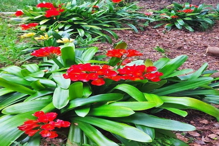 Photo of property in 308 Henderson Bay Road, Houhora, Kaitaia, 0484