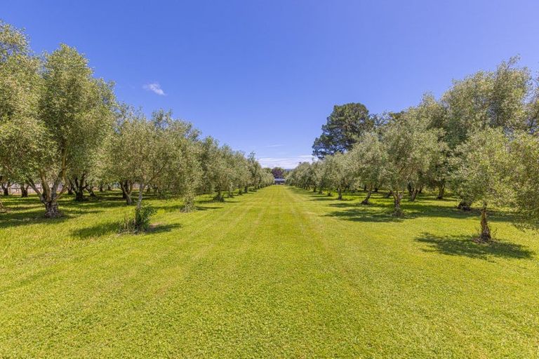 Photo of property in 274 High Street North, Carterton, 5713