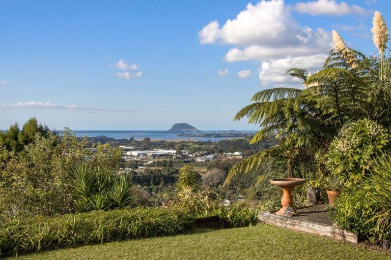 Photo of property in 186b Minden Road, Minden, Tauranga, 3176