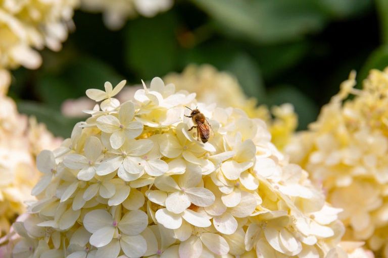 Photo of property in 20 Whatman Avenue, Masterton, 5810