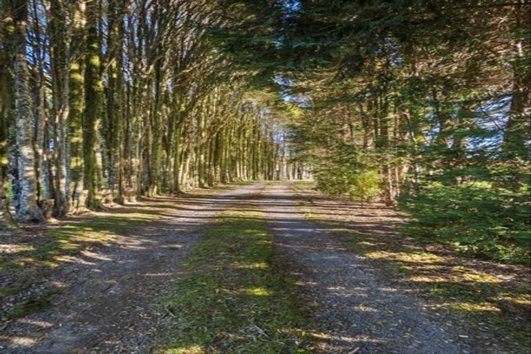 Photo of property in 104 Glue Pot Road, Oropi, Tauranga, 3173