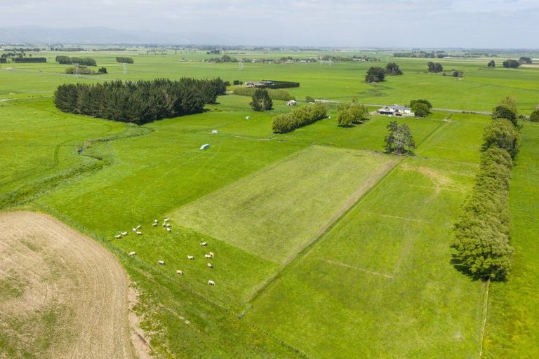 Photo of property in 1331 Rongotea Road, Kairanga, Palmerston North, 4475