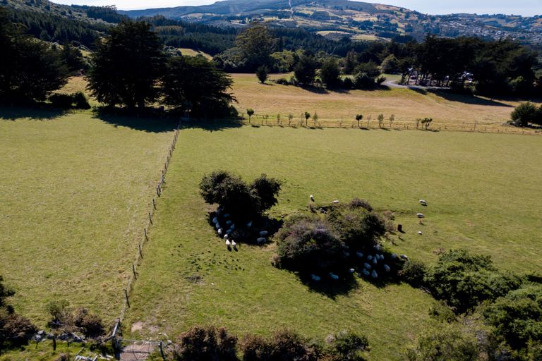 Photo of property in 195 Wakari Road, Helensburgh, Dunedin, 9010