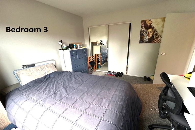 Photo of property in 31a Torrens Road, Hillmorton, Christchurch, 8024