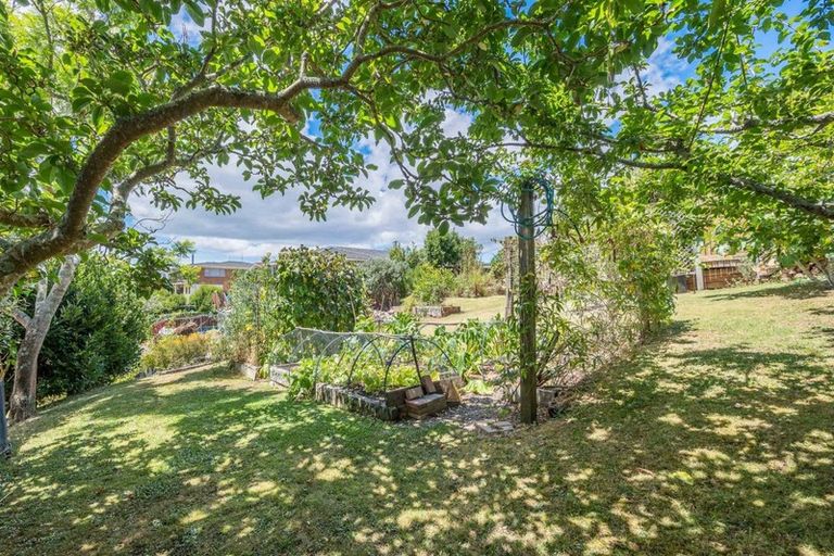 Photo of property in 275 Don Buck Road, Massey, Auckland, 0614